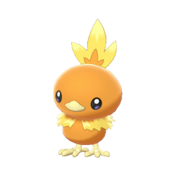 255Torchic.png