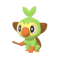 810Grookey.png